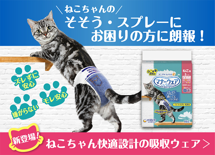 マナーウェア