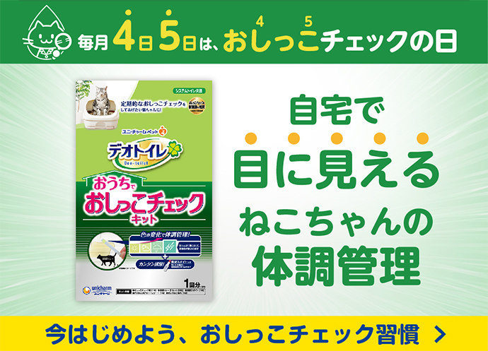 デオトイレ
