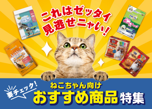 ねこちゃんの魅力的な新製品続々登場！