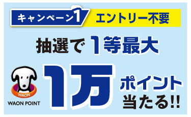キャンペーン1へ