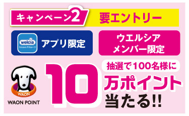 キャンペーン2へ