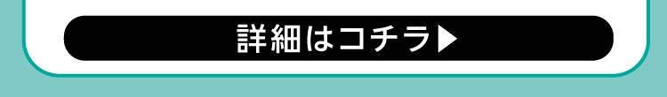 対象商品の画像2