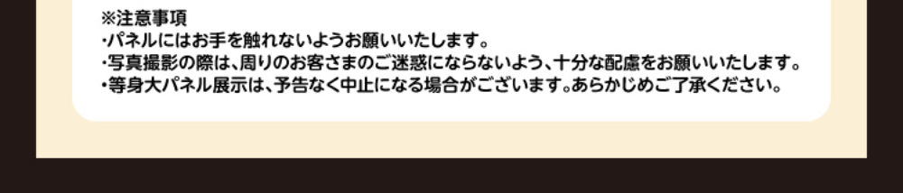 ※注意事項 パネルにはお手を触れないようお願いいたします。写真撮影の際は、周りのお客様のご迷惑にならないよう、十分な配慮をお願いいたします。