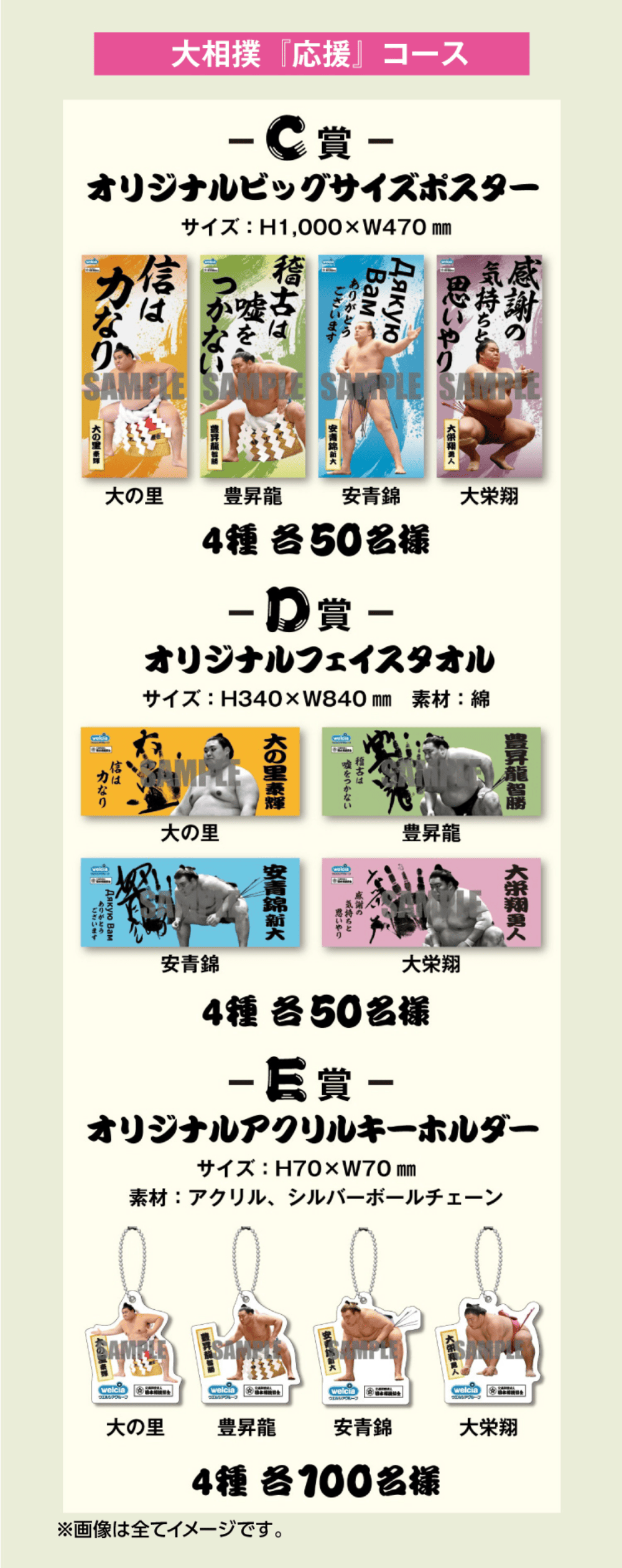 大相撲「応援」コース