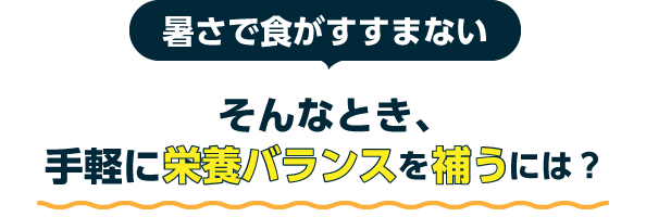 暑さで食がすすまない そんなとき、手軽に栄養バランスを補うには?