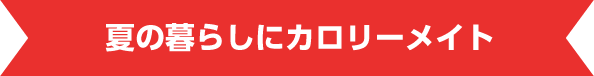 夏の暮らしにカロリーメイト