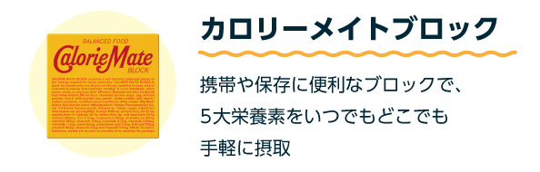 カロリーメイトブロック 携帯や保存に便利なブロックで、5大栄養素をいつでもどこでも手軽に摂取
