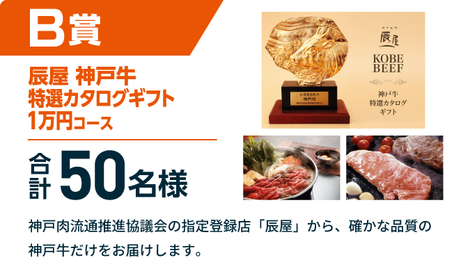 B賞 辰屋神戸牛特選カタログギフト1万円コース 合計50名様