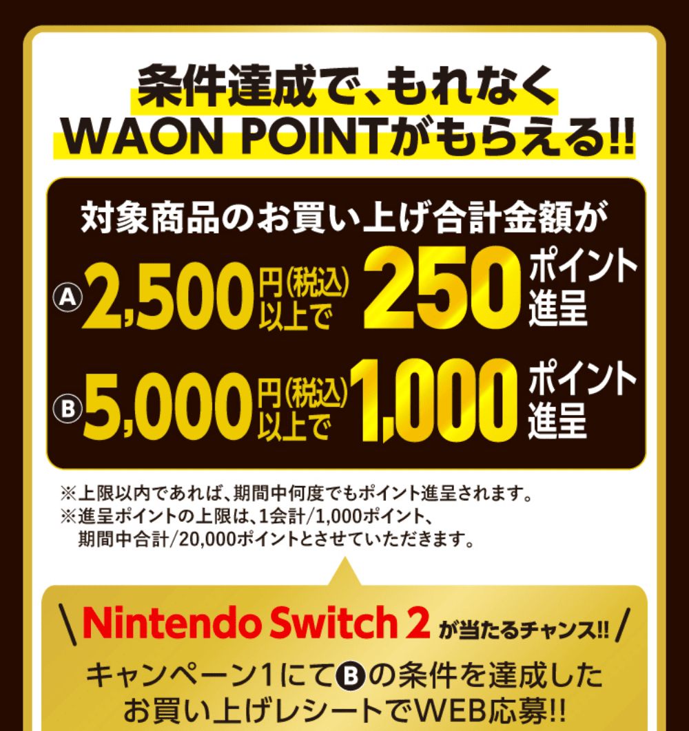 対象商品のお買い上げ合計金額が(A)2,500円(税込)以上で250ポイント進呈 (B)5,000円(税込)以上1,000ポイント進呈