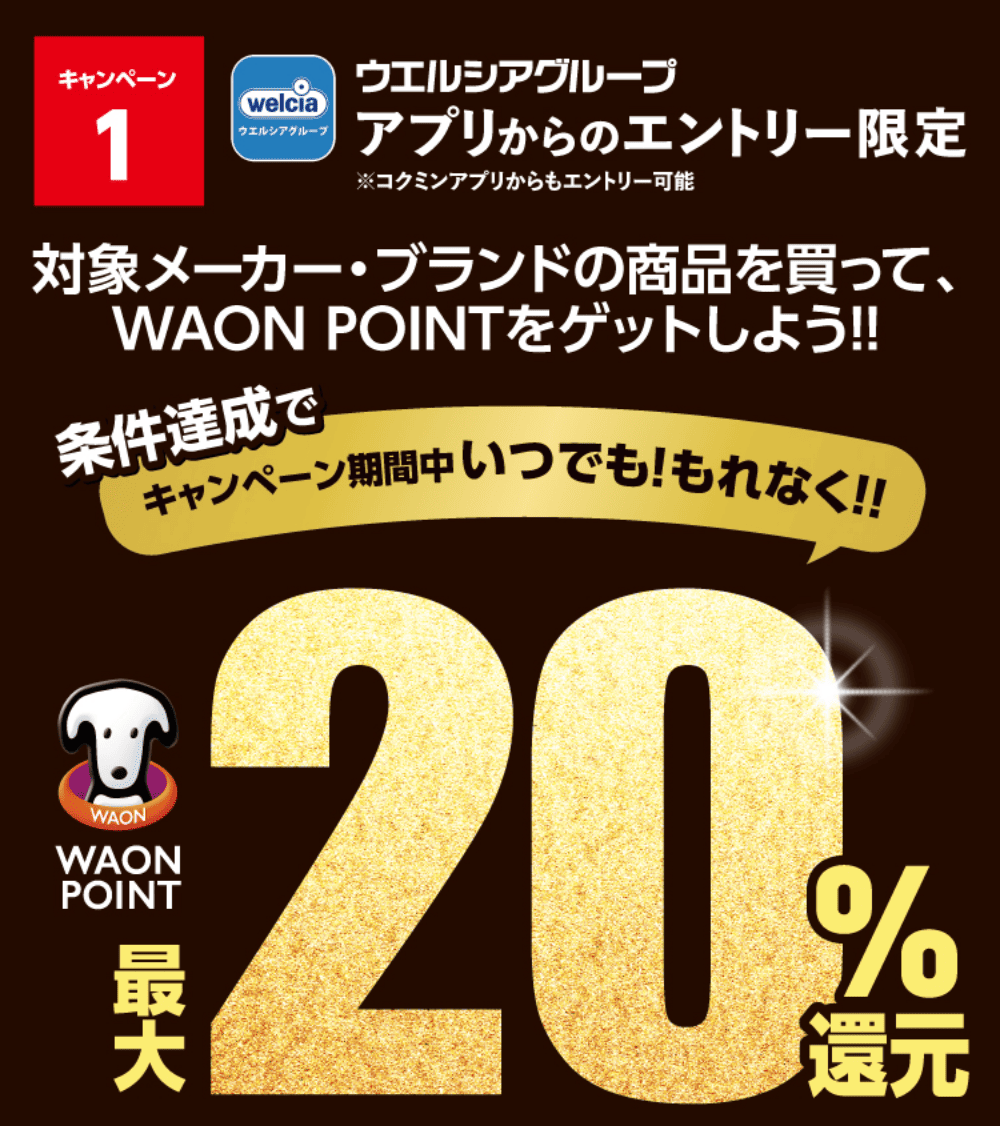 キャンペーン1 条件達成でキャンペーン期間中いつでも!もれなく!! WAON POINT最大20%還元