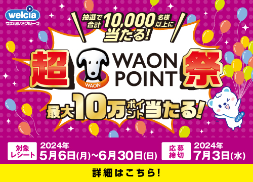 超WAON POINT祭開催中！まとめ買いでWAON POINT最大10万ポイントが当たるチャンス！